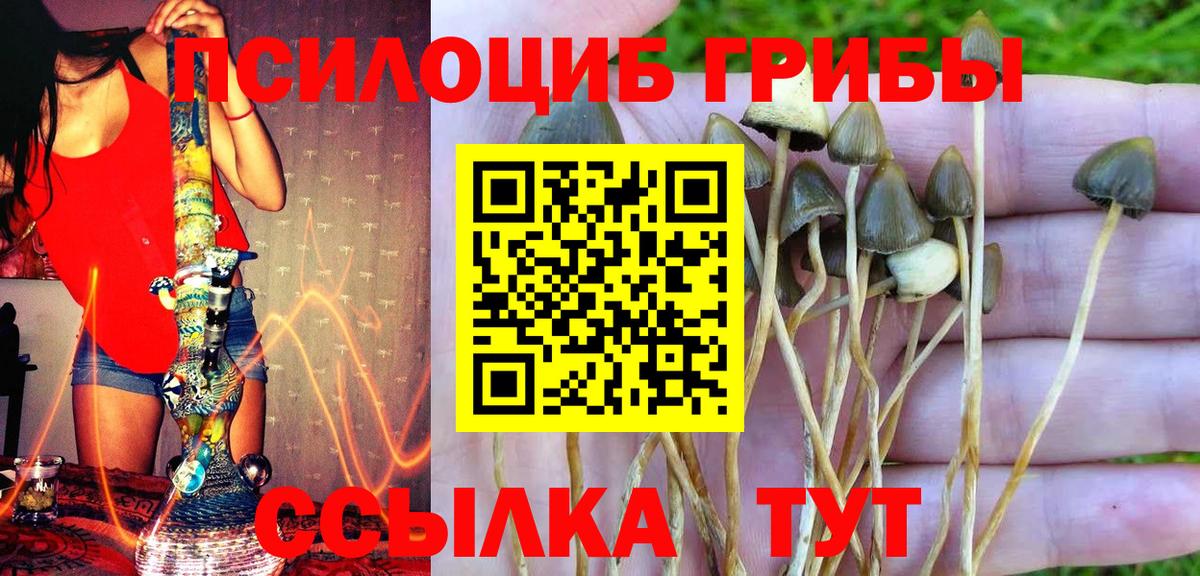 Гулькевичи  Галлюциногенные грибы Cubensis  Псилоцибиновые грибы Psilocybine cubensis  Вход с VPN 