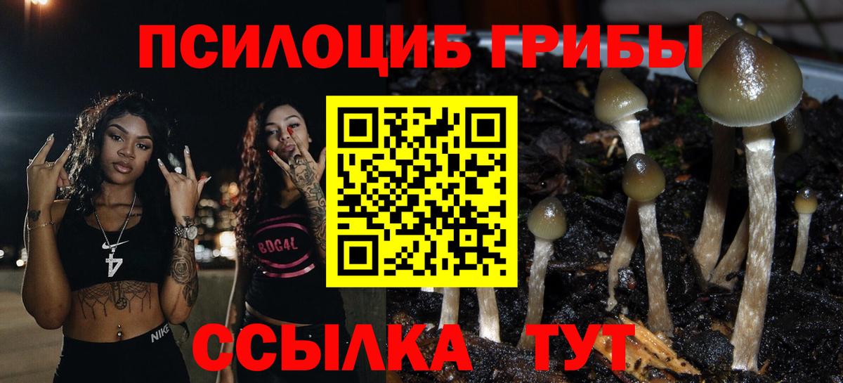 Псилоцибиновые грибы мицелий Гулькевичи